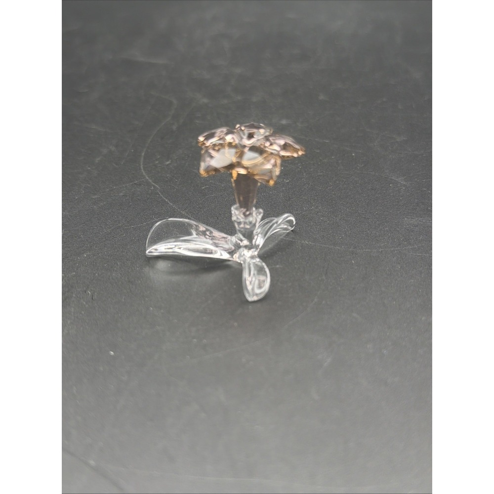 Swarovski Crystal Society SCS 2021 Membership Desert Rose Africa #5557915